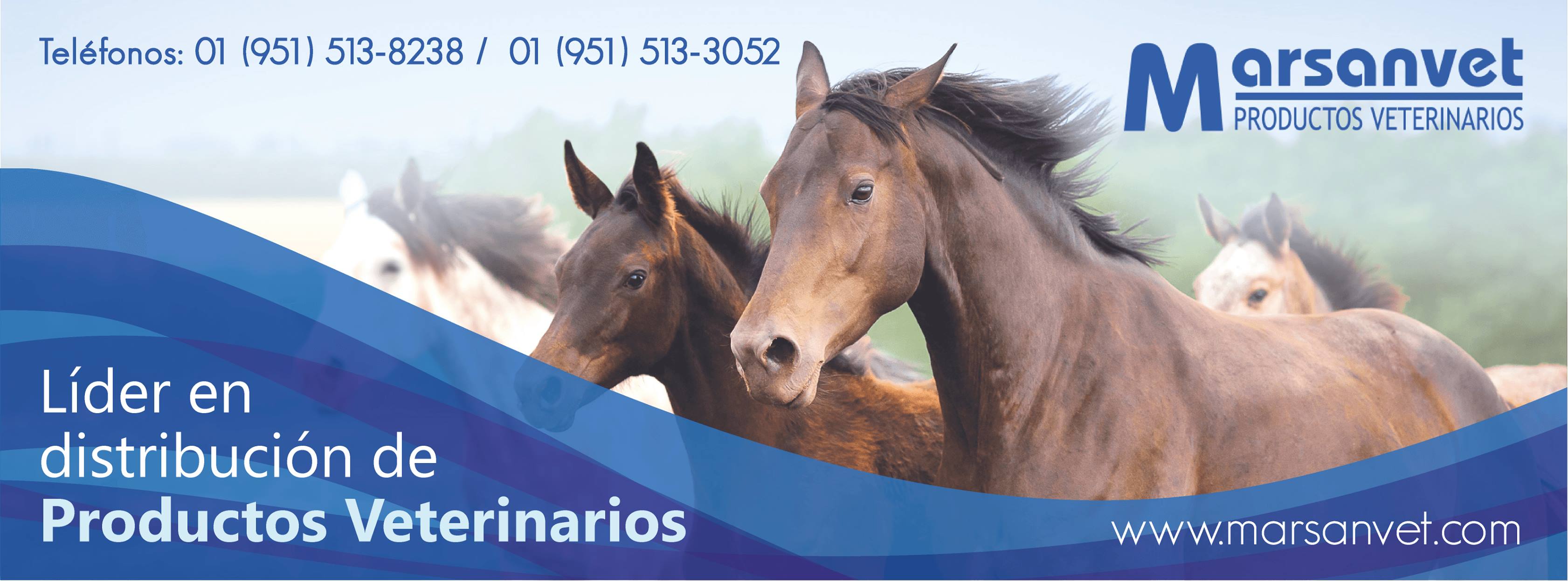 Marsanvet Productos Veterinarios