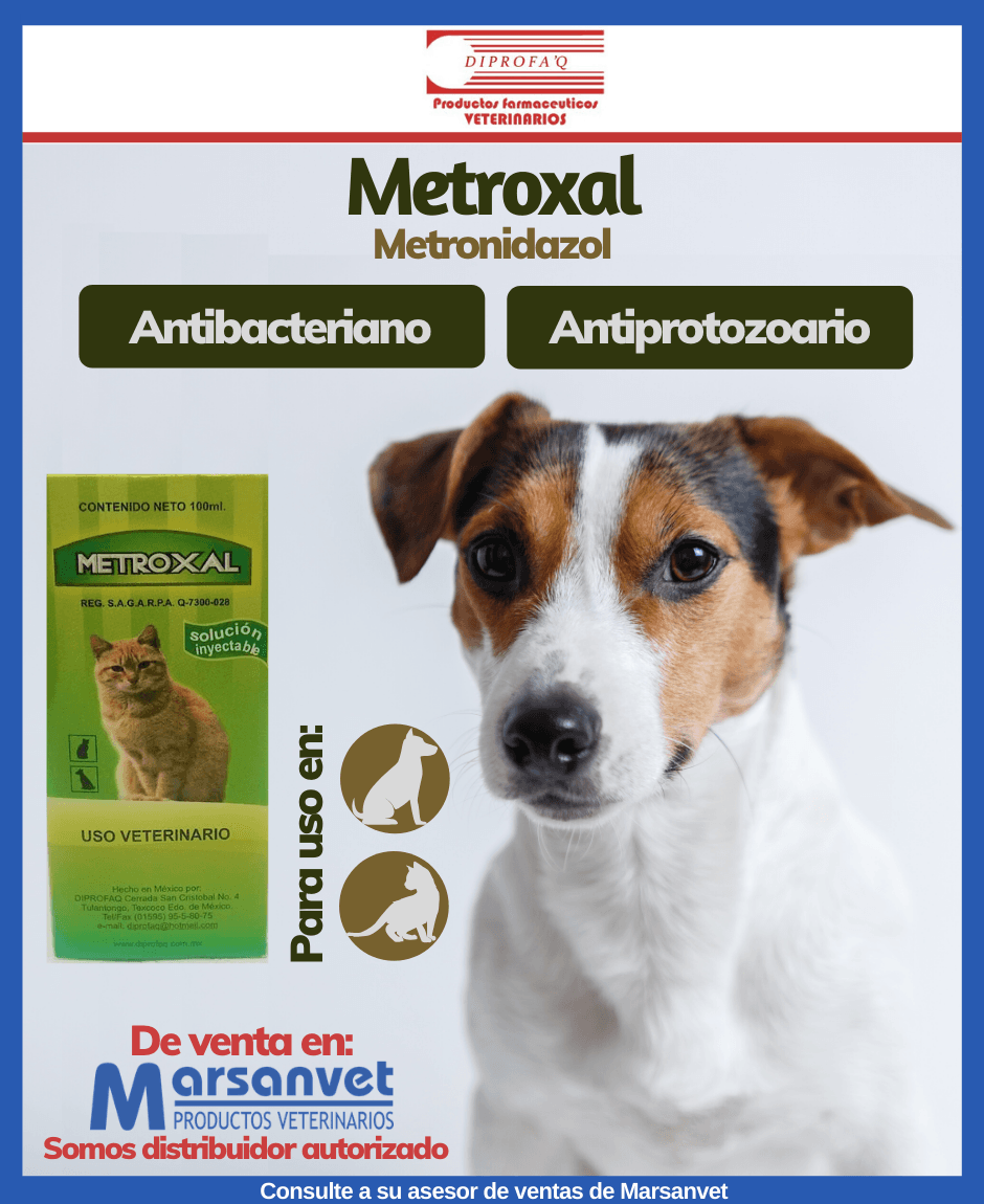 METROXAL de DIPROFAQ, como tratamiento para diarreas bacterianas y parasitarias